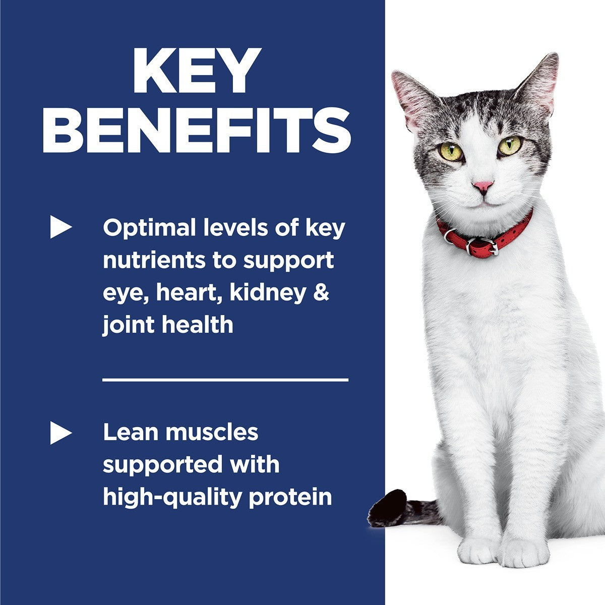 Hill's Science Diet Adult 11+ Dry Cat Food