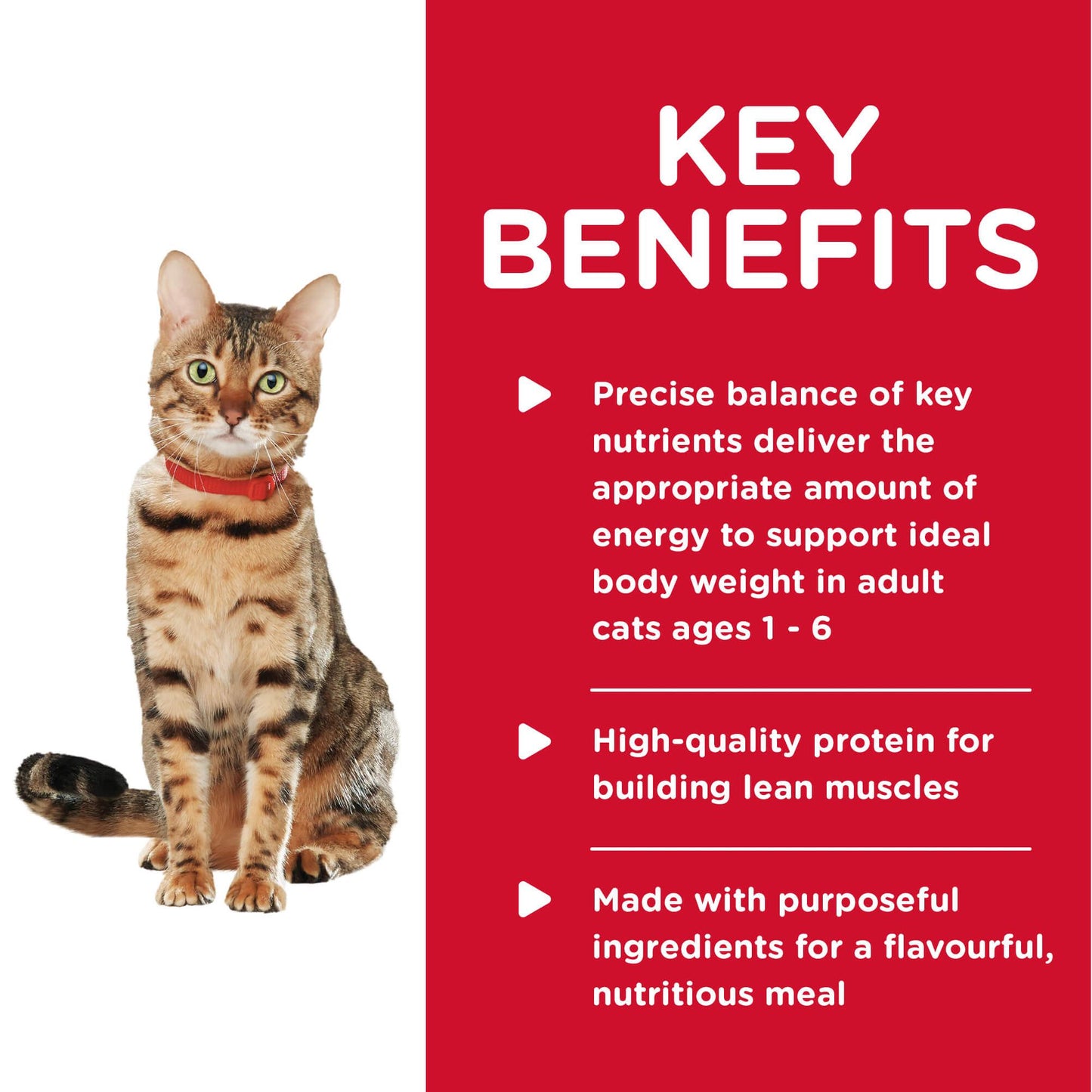 Hill's Science Diet Roasted Chicken & Rice Medley Wet Cat Food