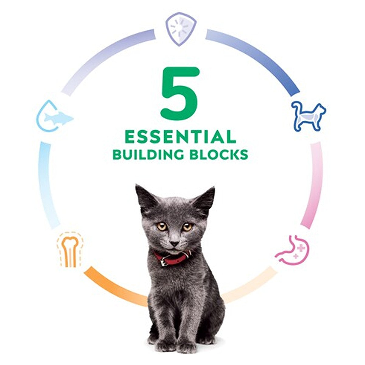 Hill's Science Diet Kitten Healthy Cuisine Chicken & Rice Wet Cat Food