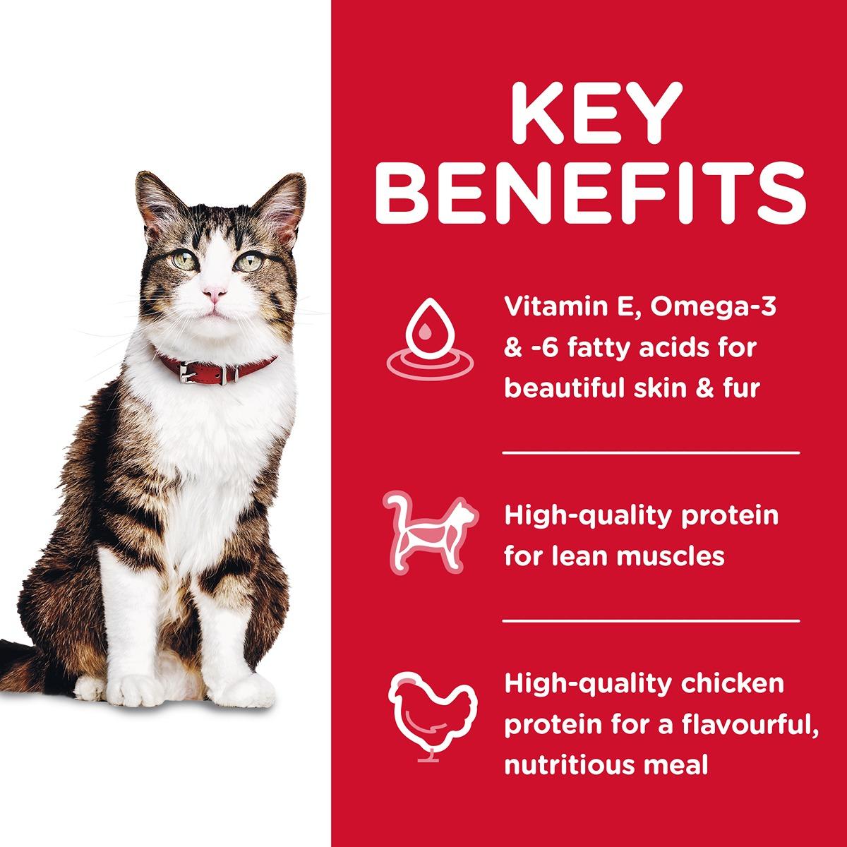 Hill's Science Diet Hairball Control Adult Dry Cat Food