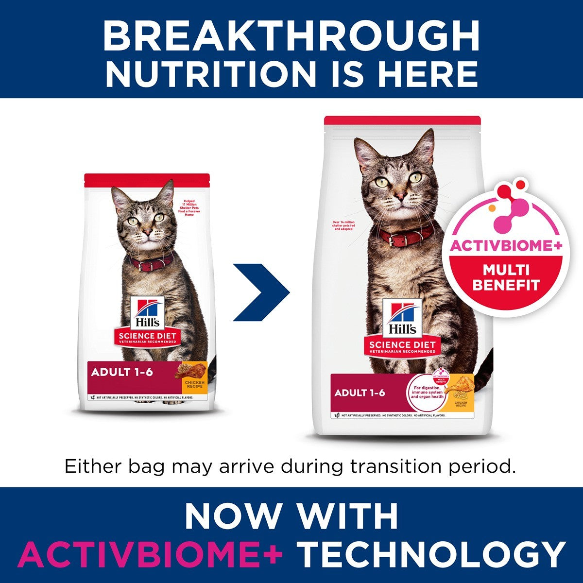 Hill's Science Diet Adult Optimal Care Dry Cat Food