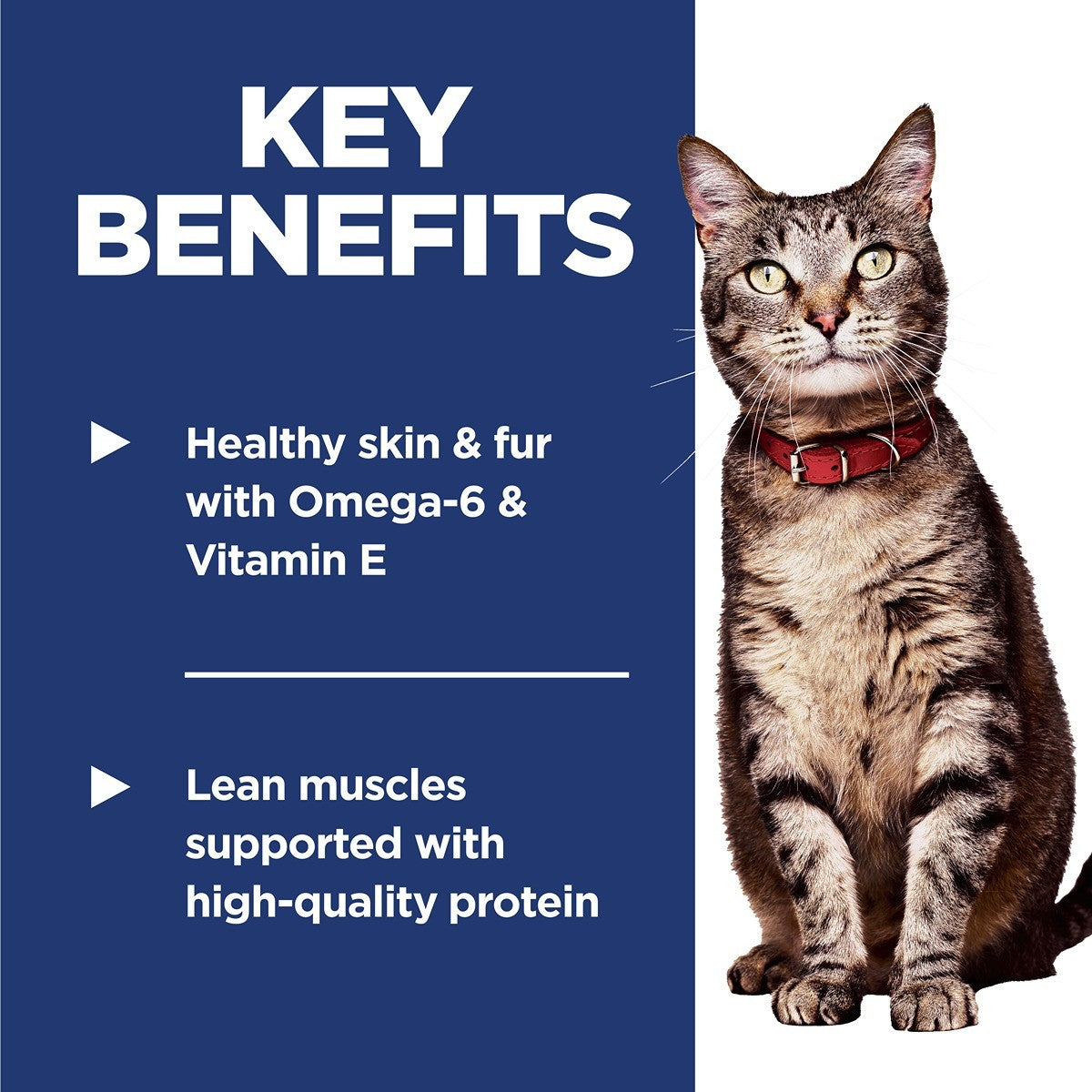 Hill's Science Diet Adult Optimal Care Dry Cat Food