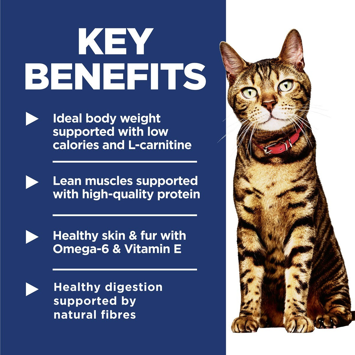 Hill's Science Diet Light Dry Cat Food