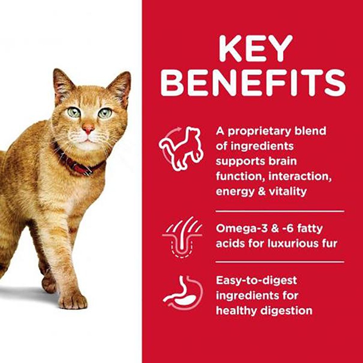 Hill's Science Diet Senior Cat Youthful Vitality 7+ Years Dry Cat Food