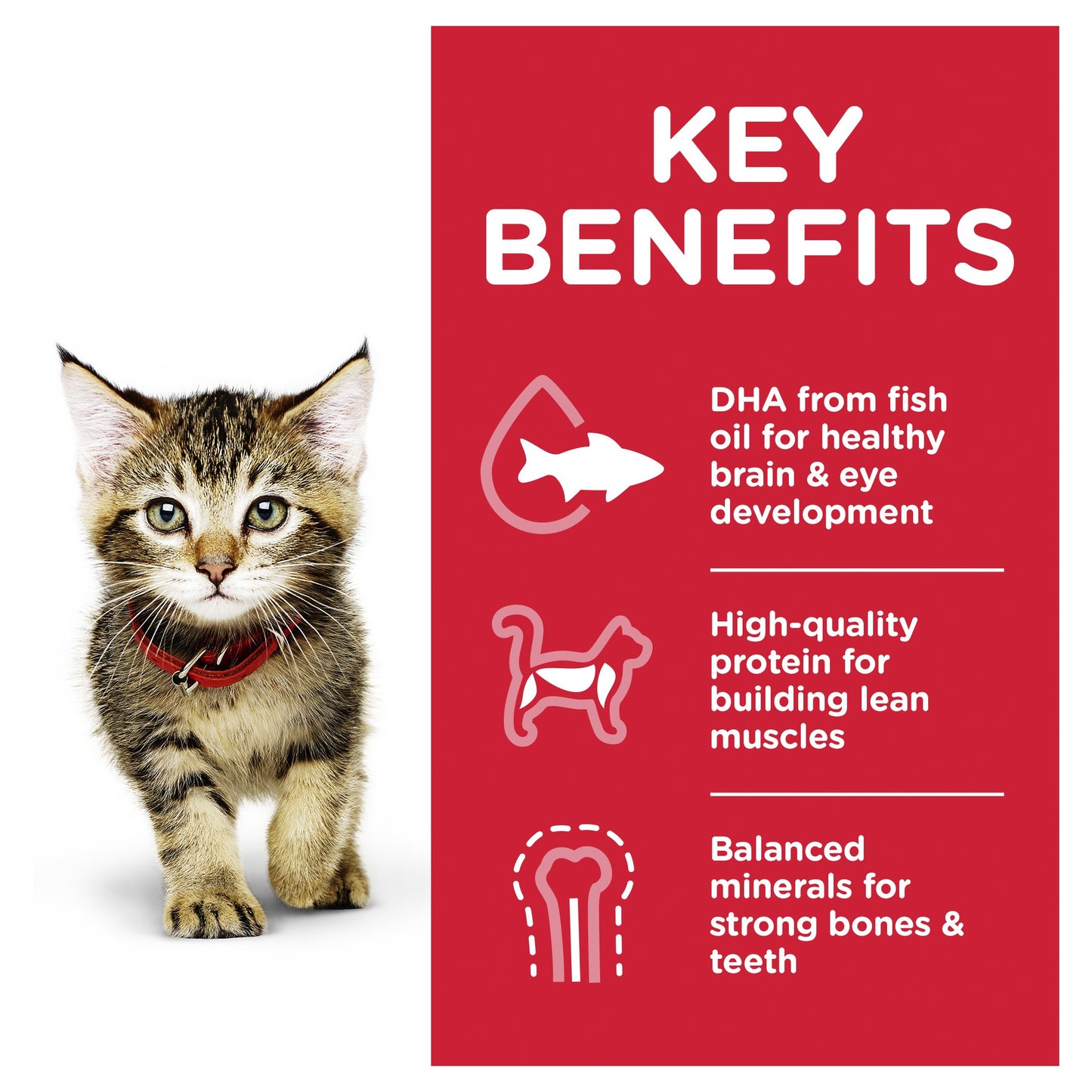Hill's Science Diet Kitten Chicken Wet Cat Food