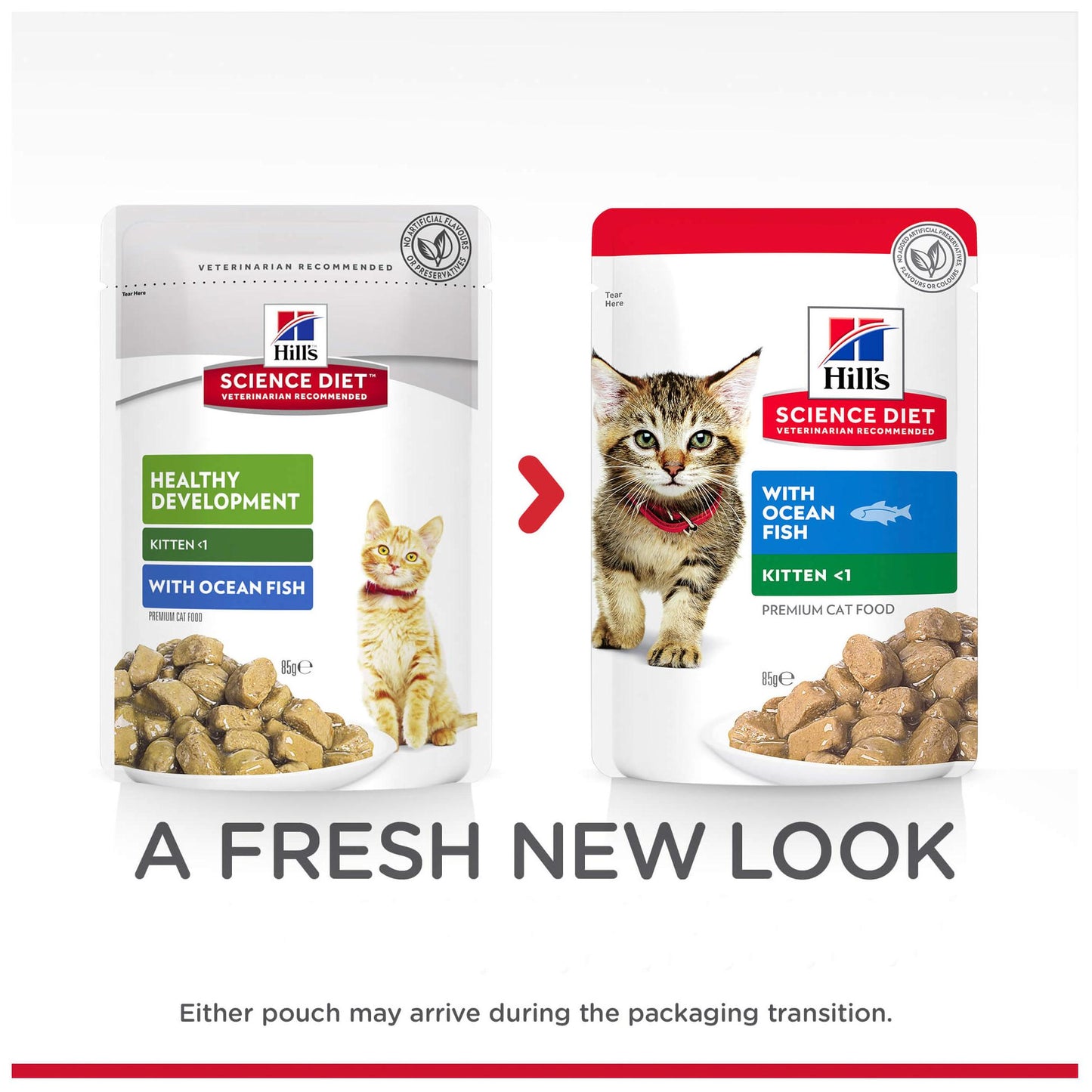 Hill's Science Diet Kitten Ocean Fish Wet Cat Food