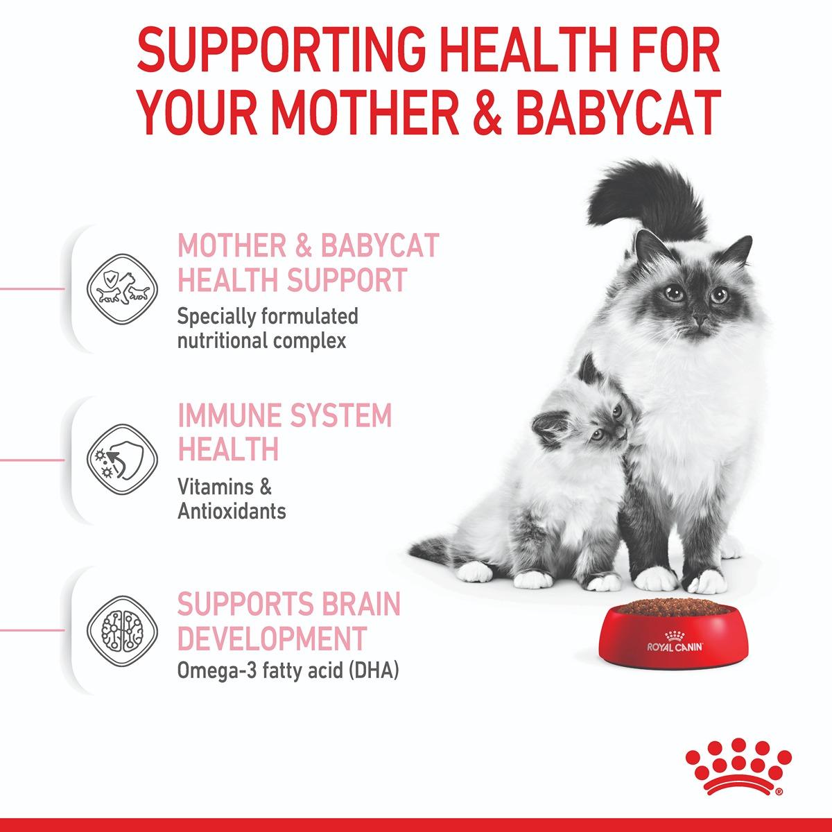Royal Canin Mother & Baby Cat Dry Cat Food