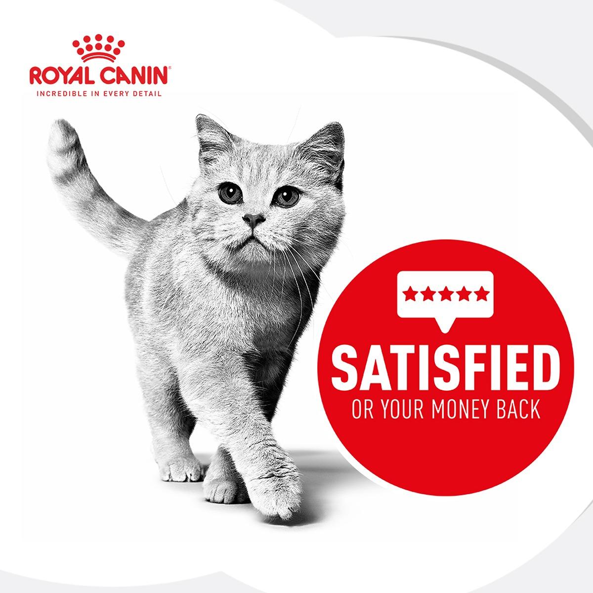 Royal Canin Breed Health Nutrition Maine Coon Dry Cat Food