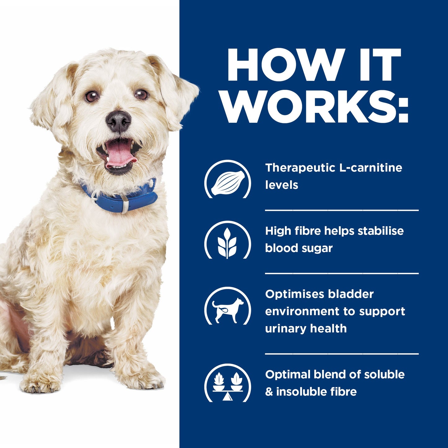 Hill's Prescription Diet w/d Multi-Benefit Dry Dog Food