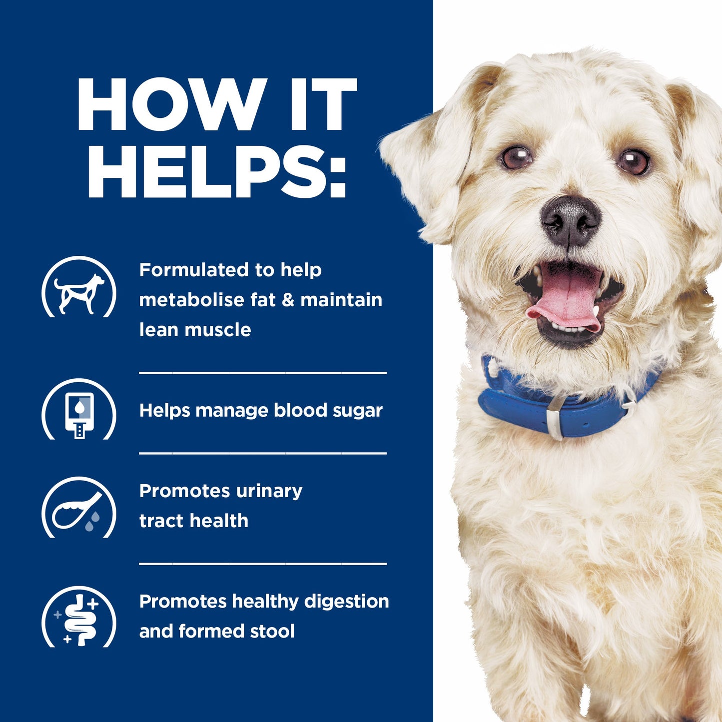 Hill's Prescription Diet w/d Multi-Benefit Dry Dog Food