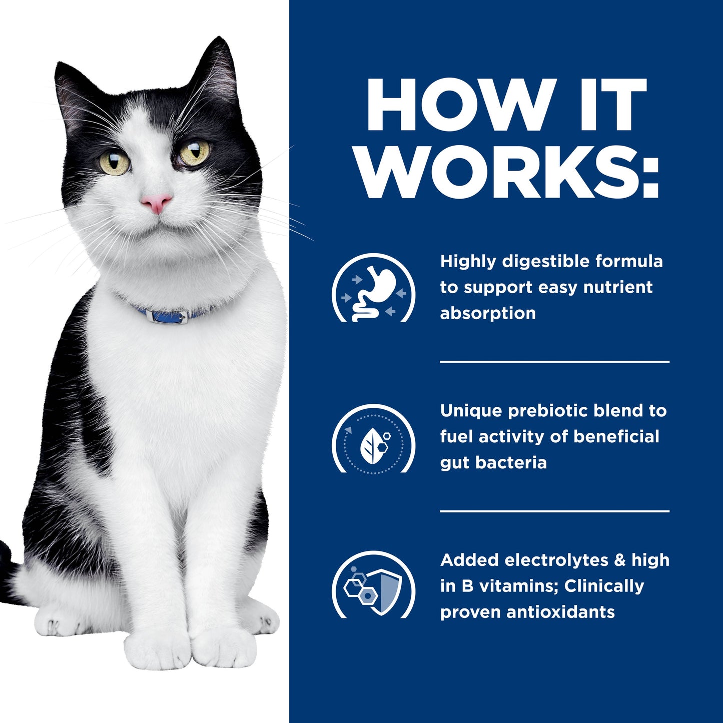 Hill's Prescription Diet i/d Digestive Care Chicken Dry Cat Food