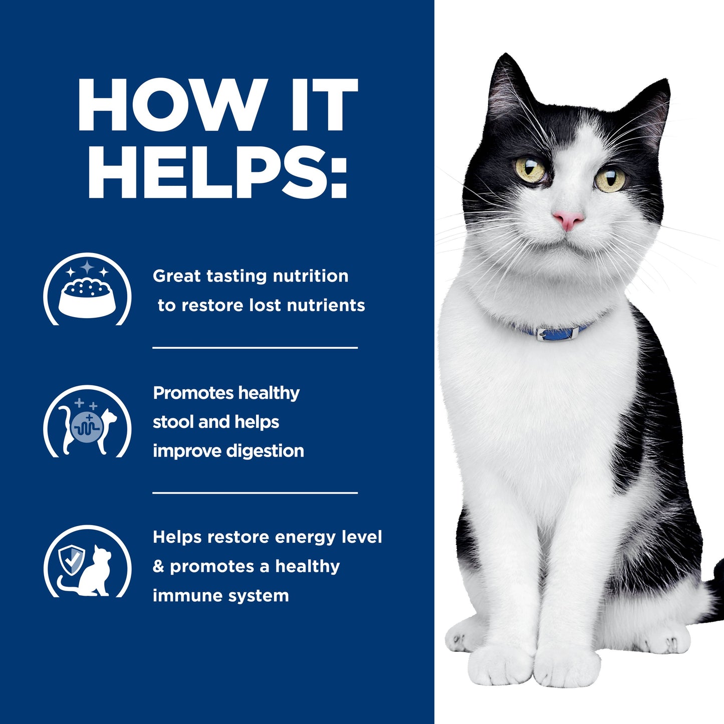 Hill's Prescription Diet i/d Digestive Care Chicken Dry Cat Food