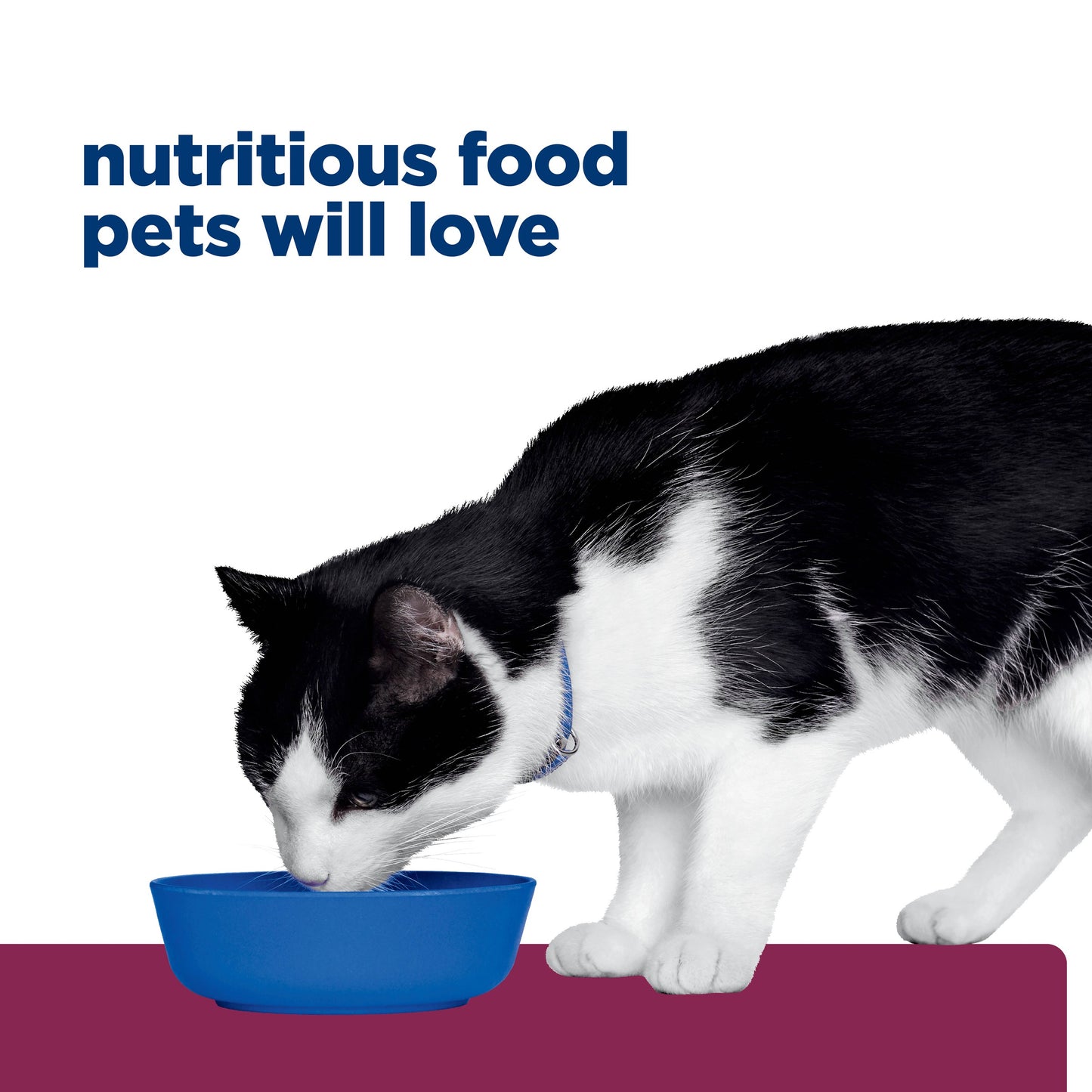 Hill's Prescription Diet i/d Digestive Care Chicken Dry Cat Food