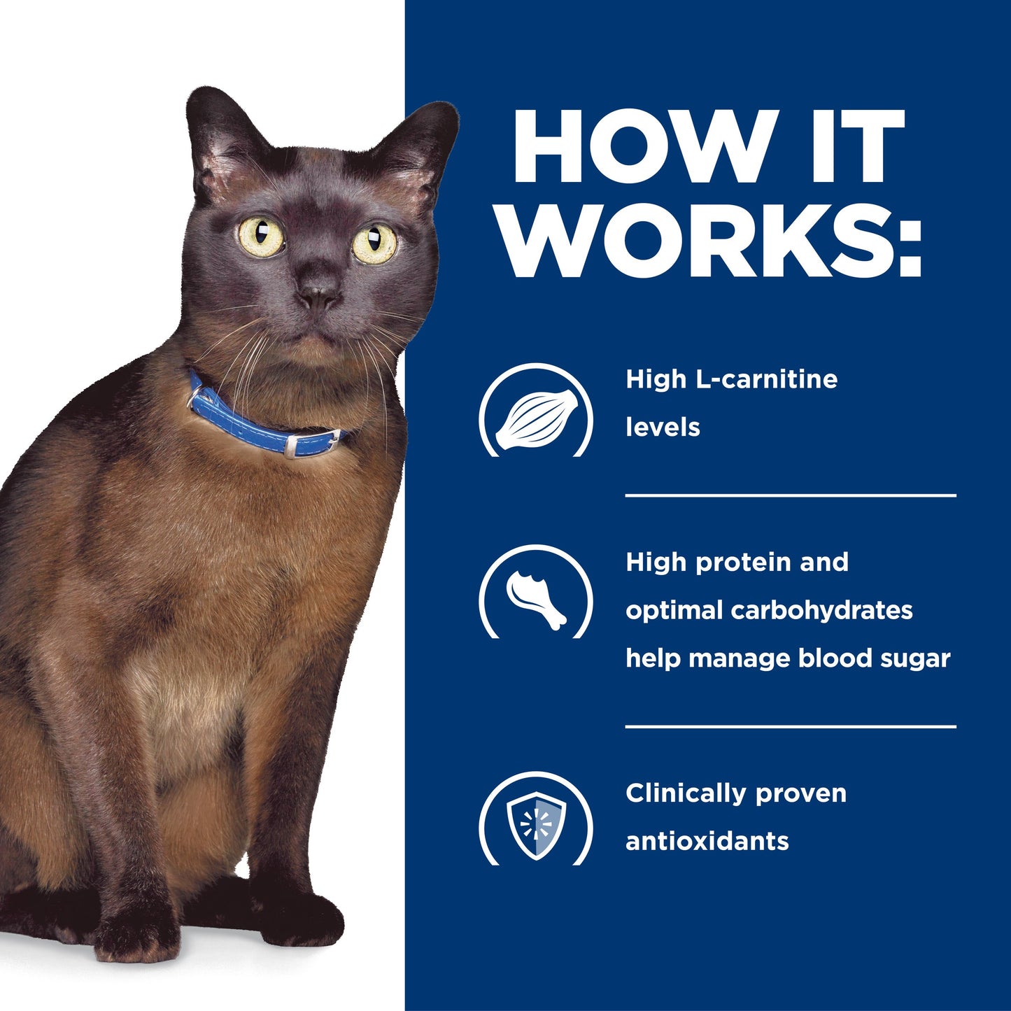 Hill's Prescription Diet m/d GlucoSupport Chicken Dry Cat Food