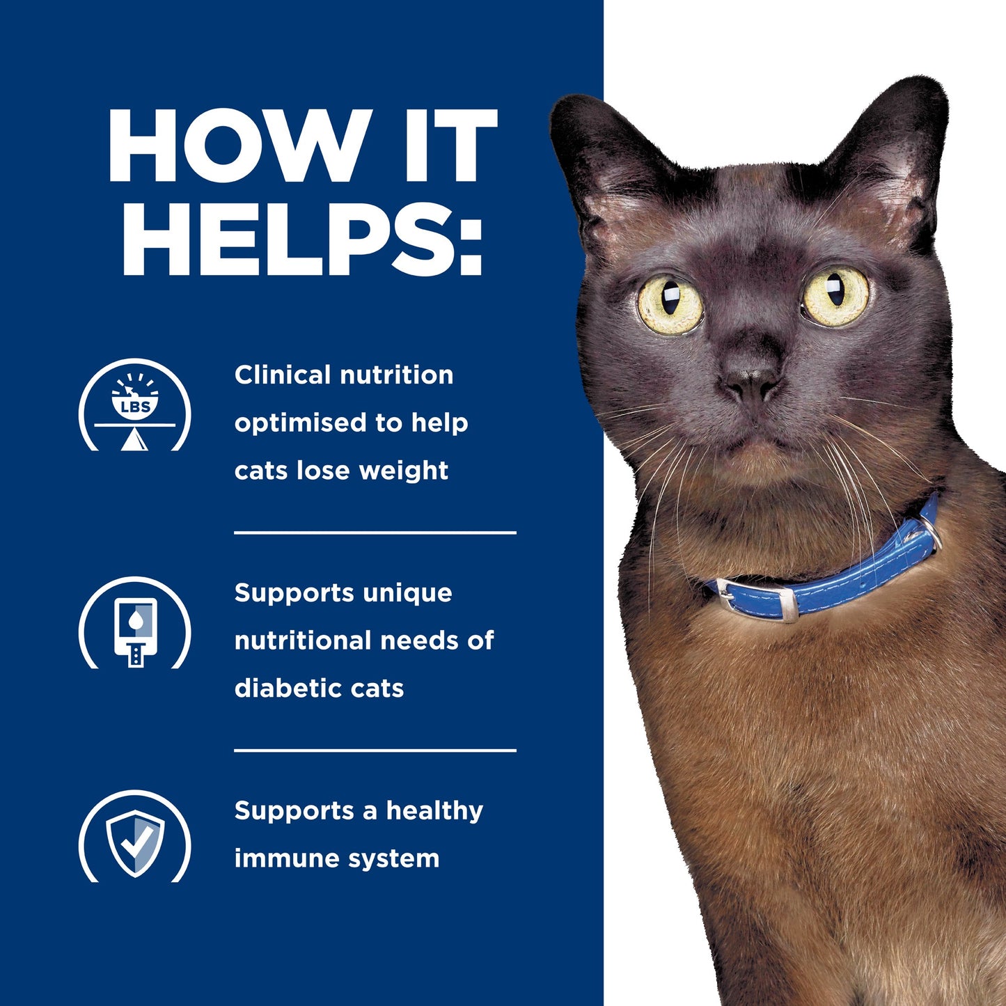 Hill's Prescription Diet m/d GlucoSupport Chicken Dry Cat Food