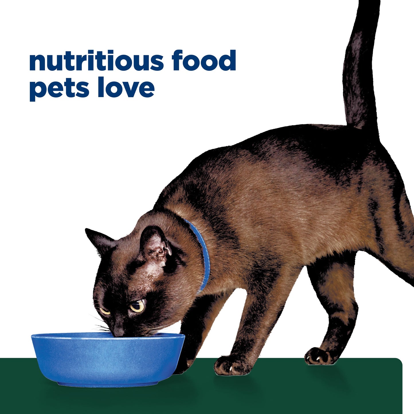 Hill's Prescription Diet m/d GlucoSupport Chicken Dry Cat Food