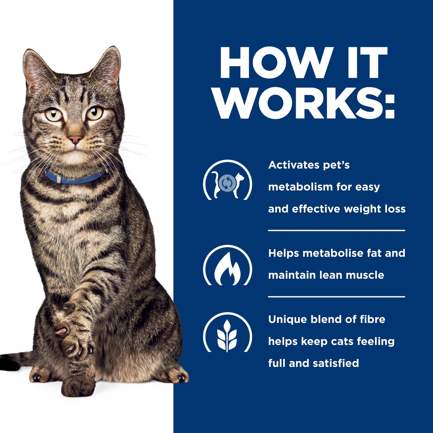 Hill's Prescription Diet Metabolic Weight Management Chicken Dry Cat Food