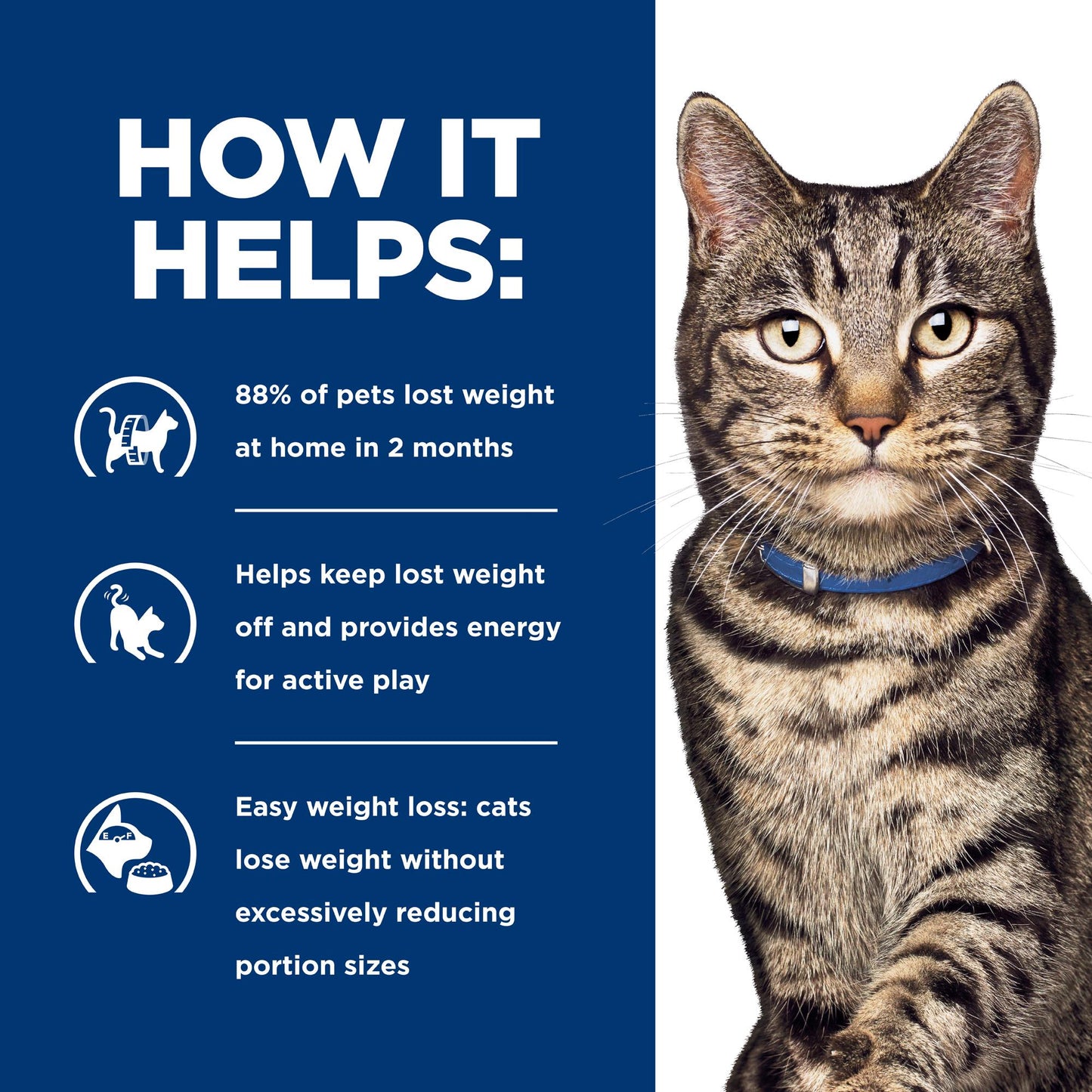 Hill's Prescription Diet Metabolic Weight Management Chicken Dry Cat Food
