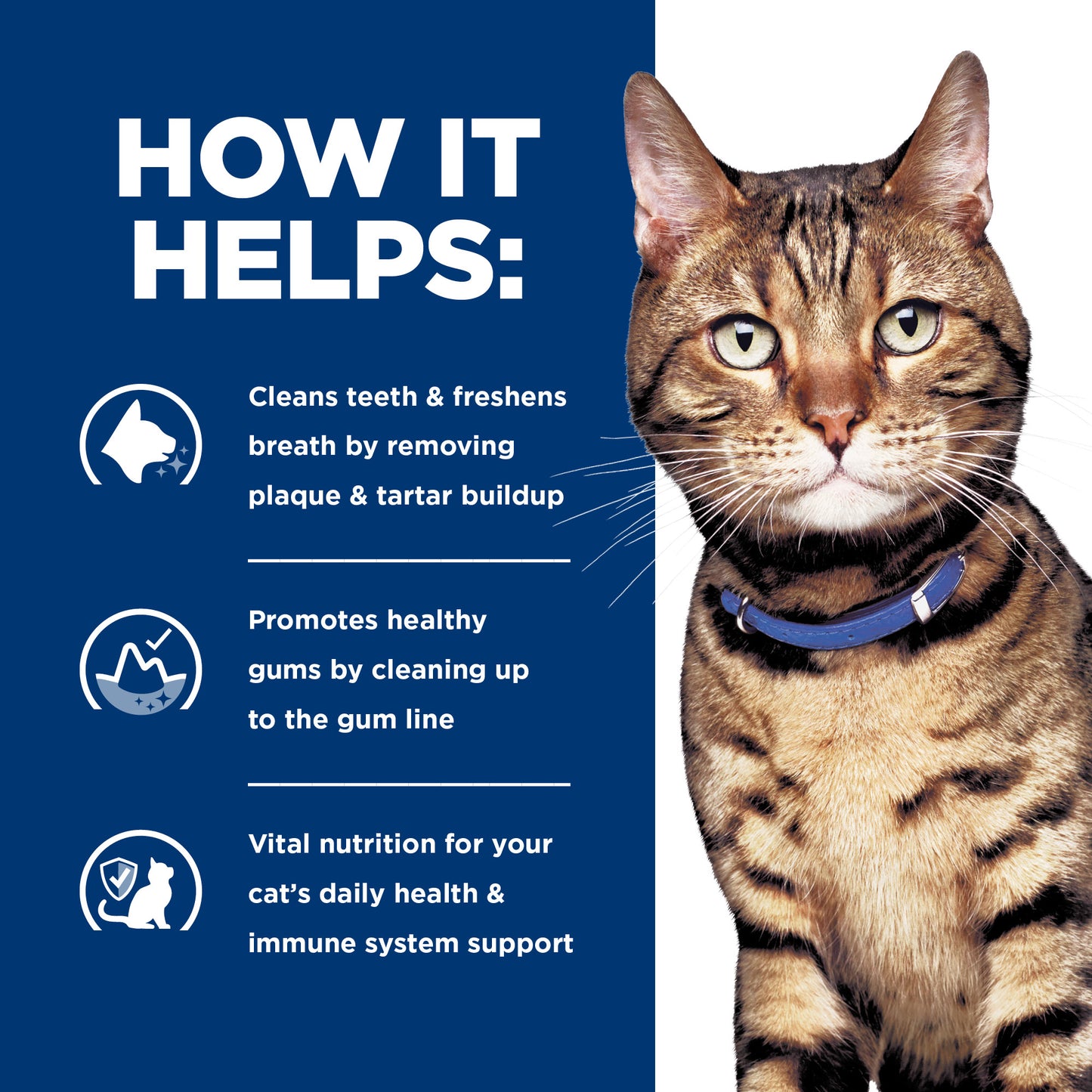 Hill's Prescription Diet t/d Dental Care Chicken Dry Cat Food