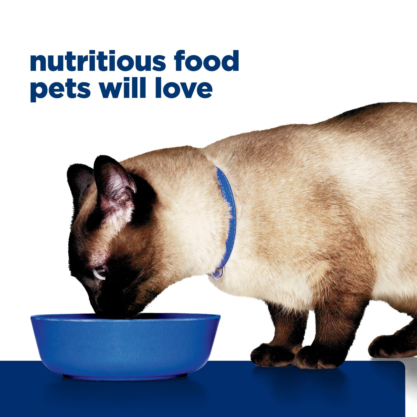 Hill's Prescription Diet z/d Skin & Food Sensitivities Wet Cat Food