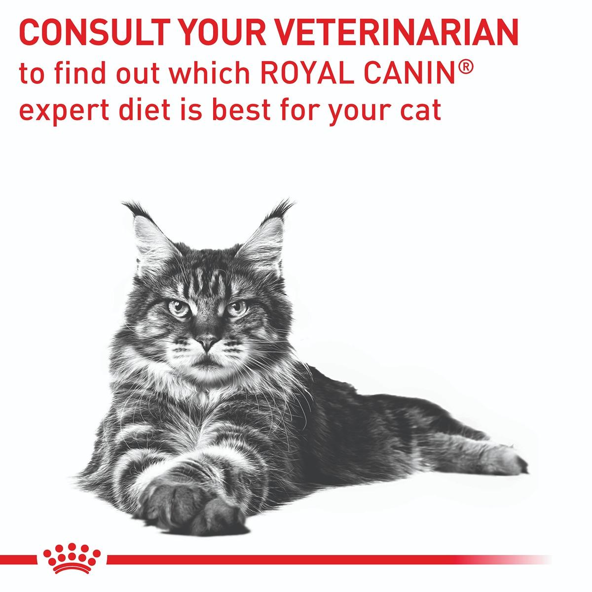 Royal Canin Vet Mature Consult Dry Cat Food