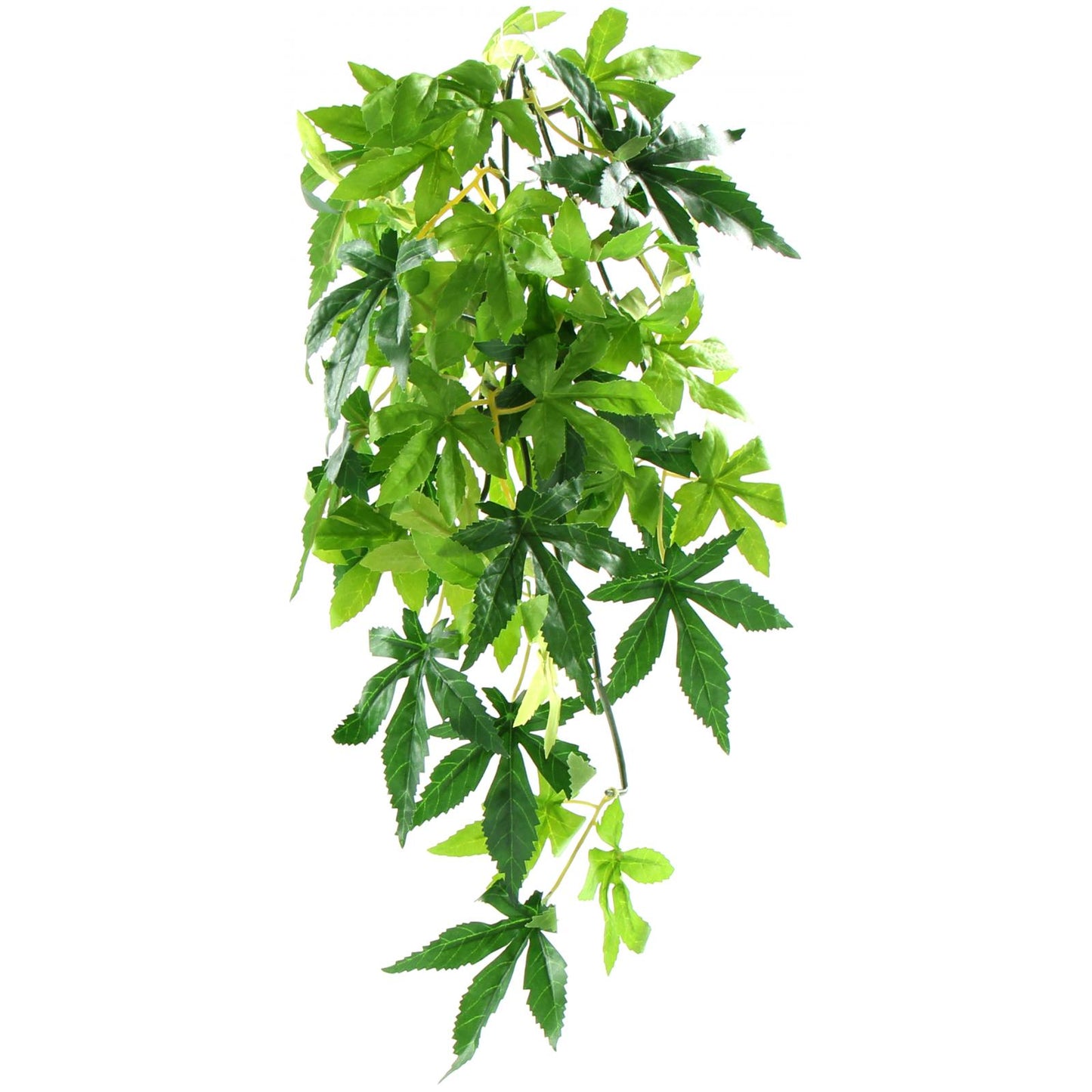 Exo Terra Forest Plant Abuliton