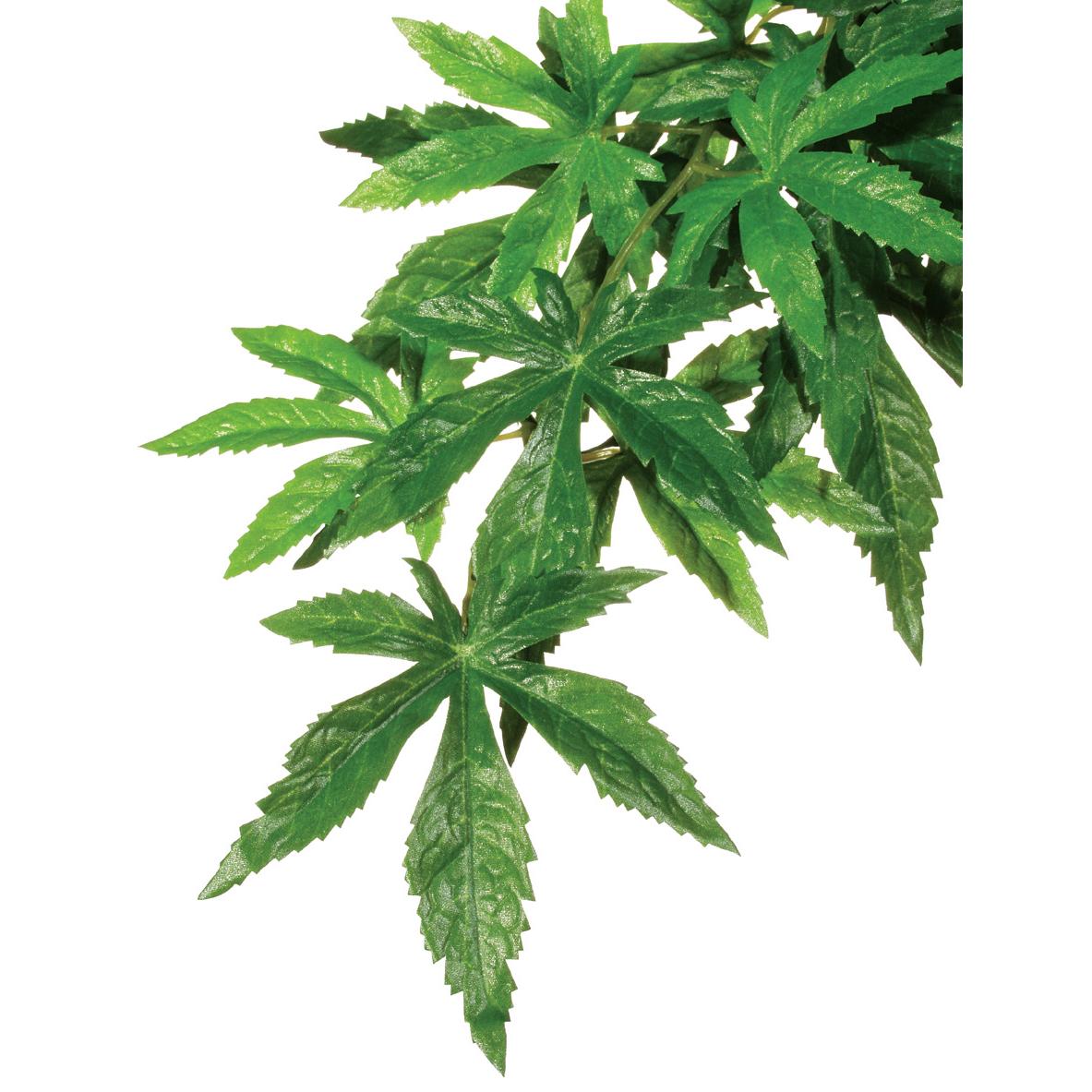 Exo Terra Forest Plant Abuliton