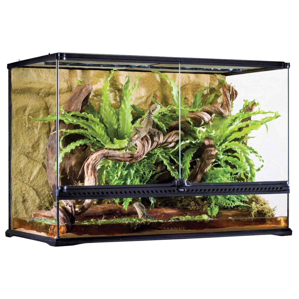 Exo Terra Tall All Glass Terrarium