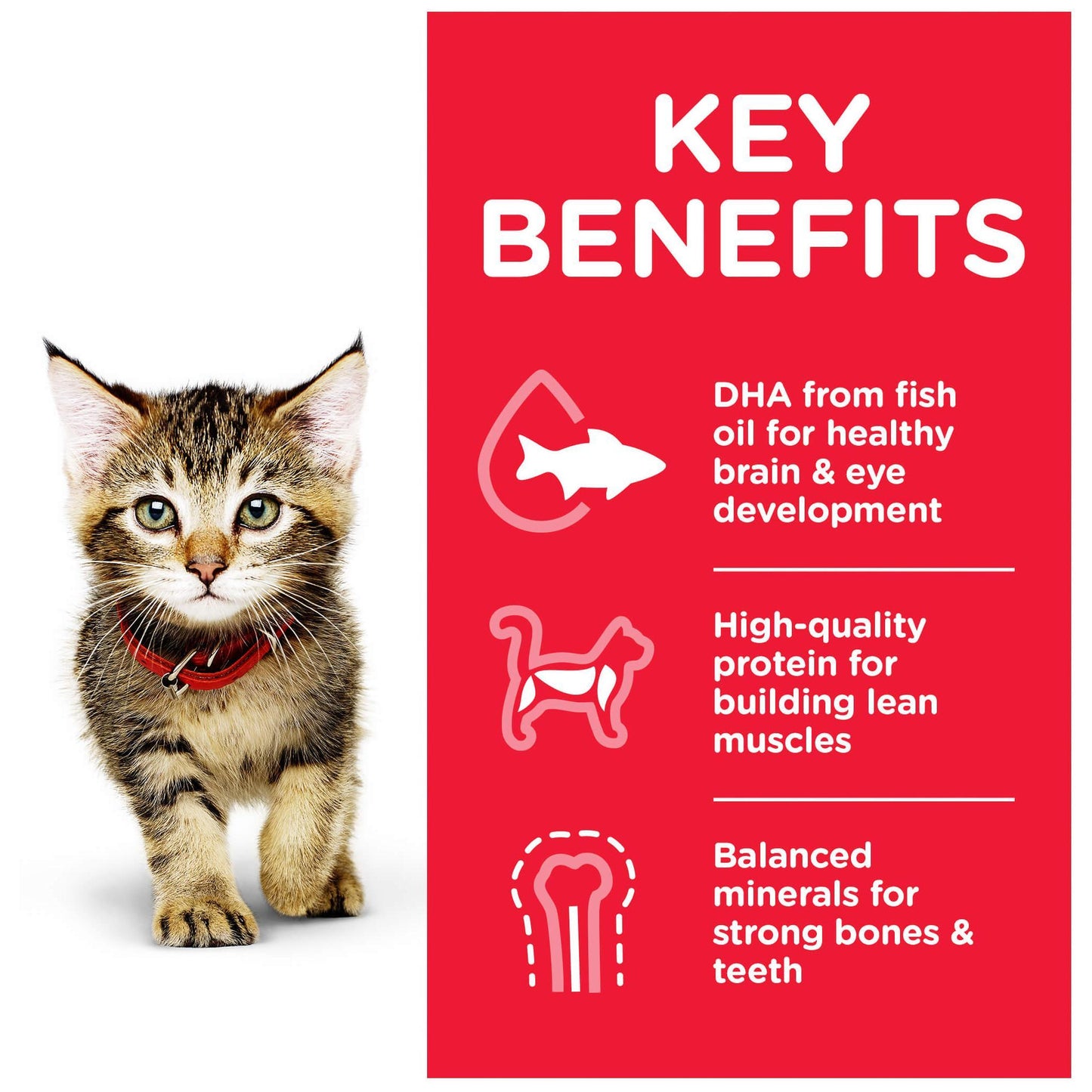 Hill's Science Diet Kitten Ocean Fish Wet Cat Food