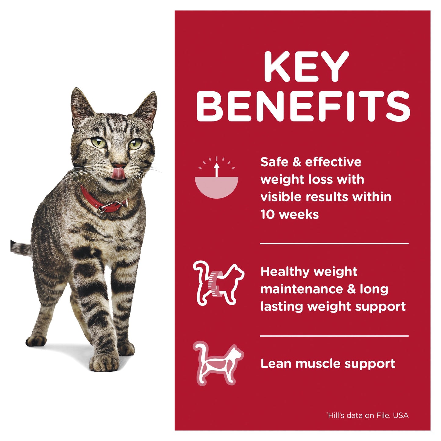 Hill's Science Diet Adult Perfect Weight Wet Cat Food