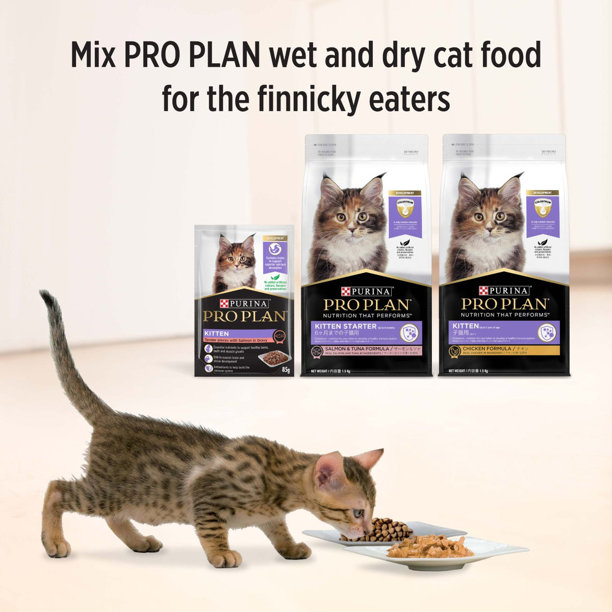 Pro Plan Kitten Salmon in Gravy Wet Cat Food