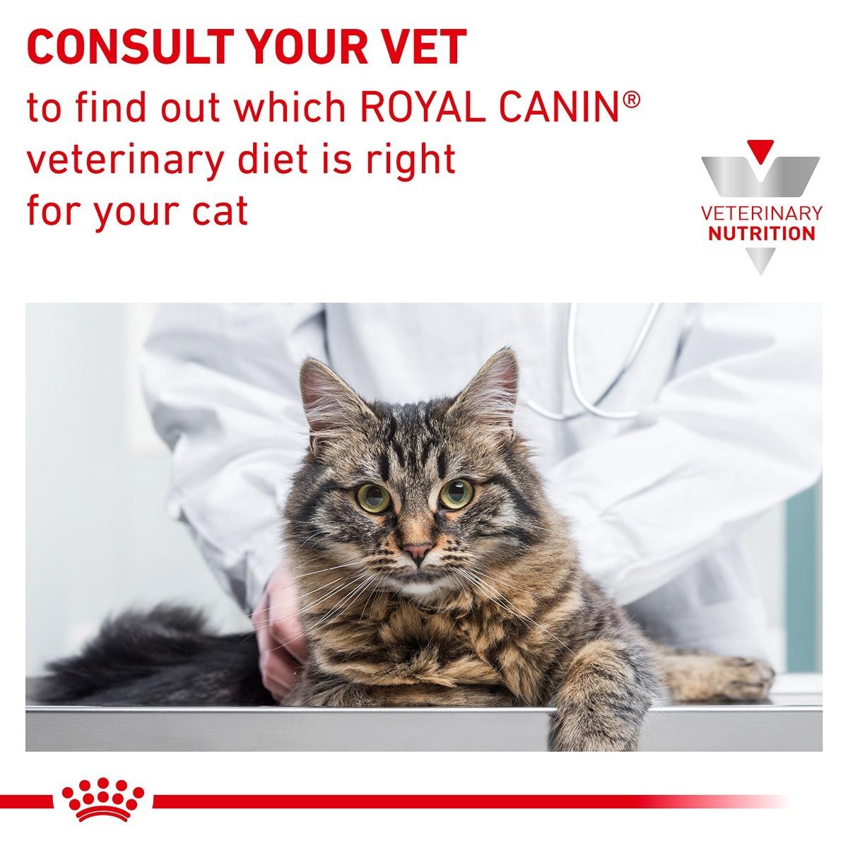 Royal Canin Vet Feline Gastrointestinal Wet Cat Food