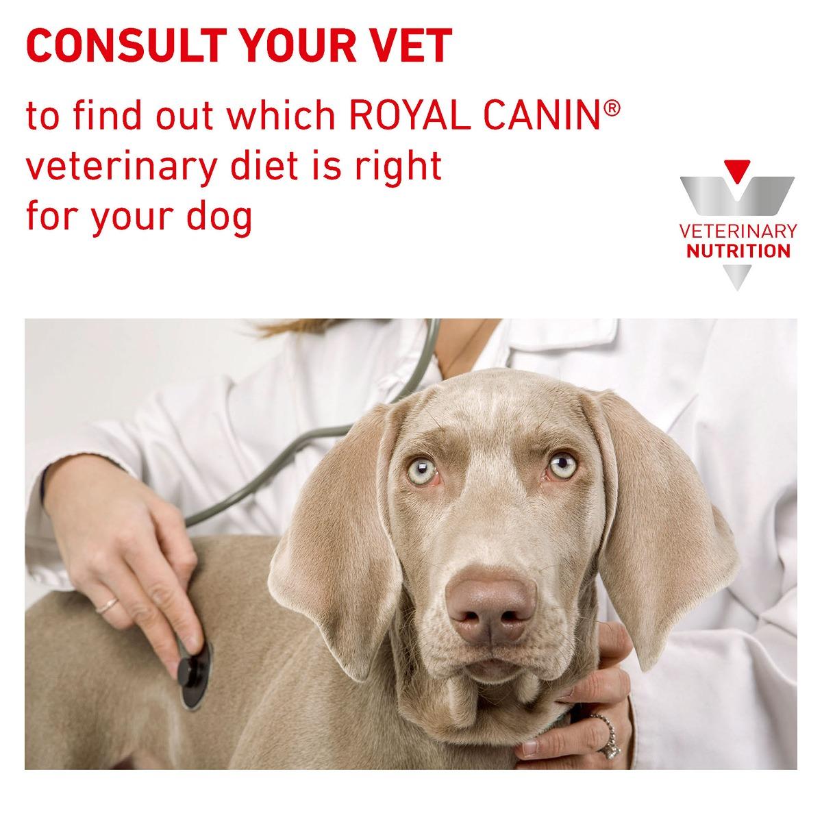 Royal Canin Vet Satiety Weight Management Wet Dog Food