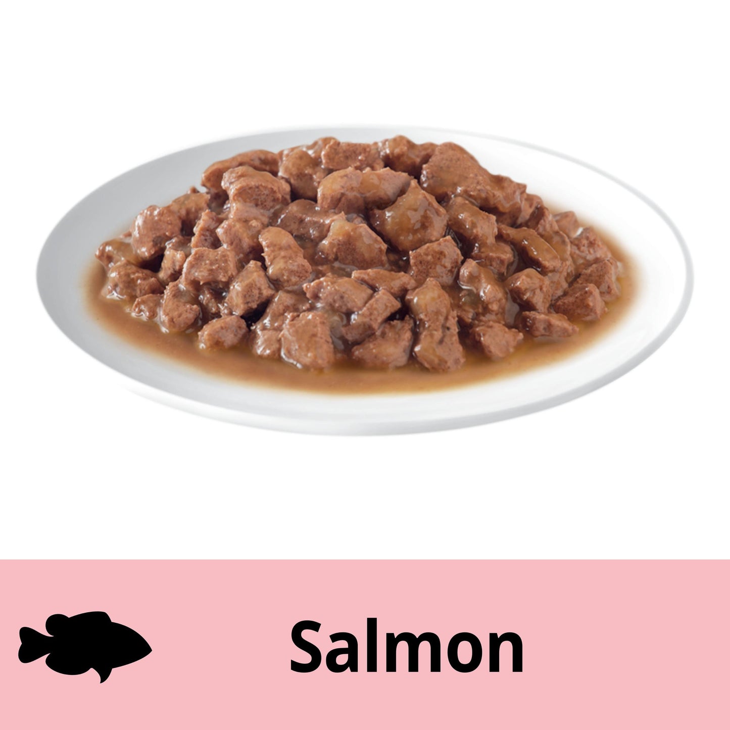 Dine Saucy Morsels with Salmon Wet Cat Food