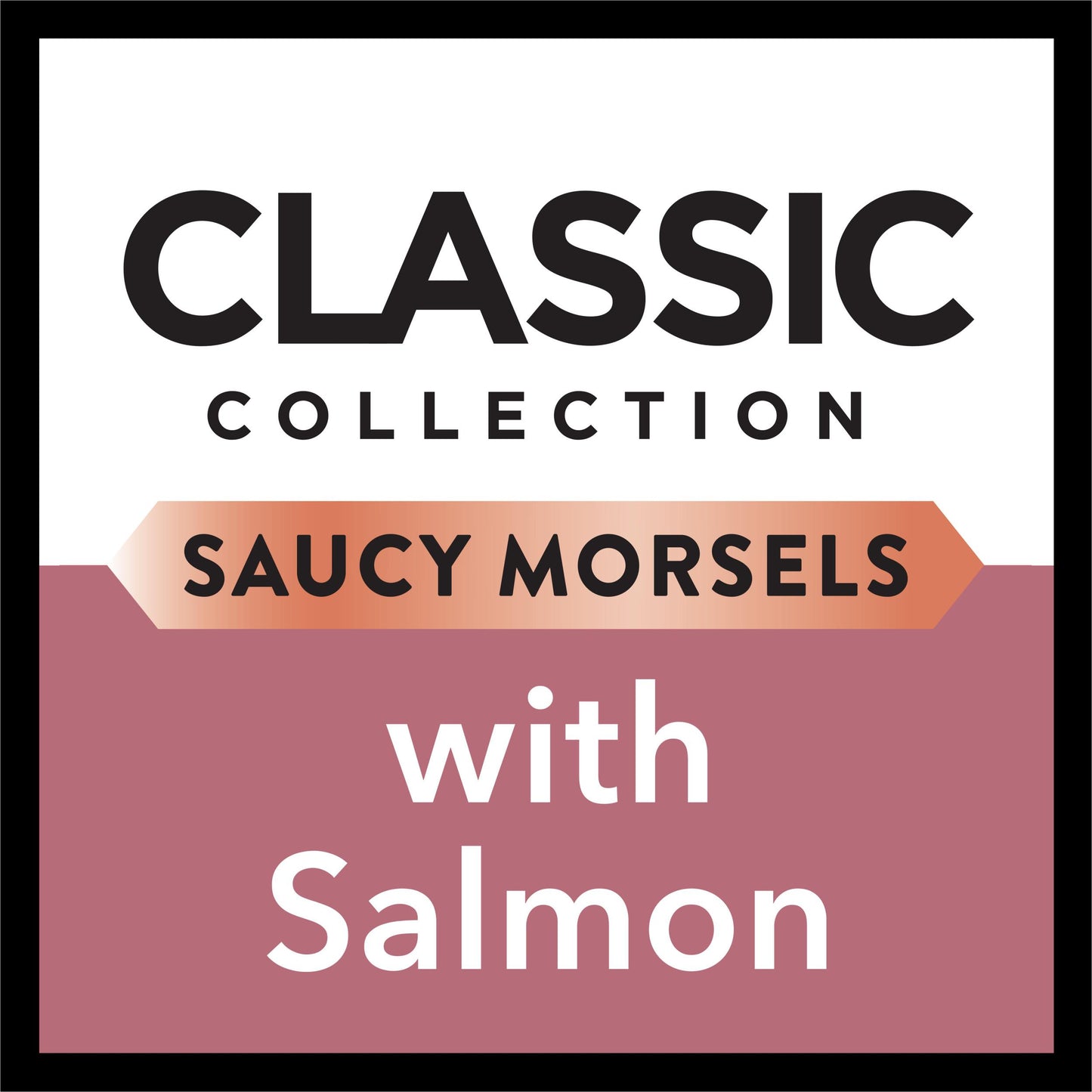 Dine Saucy Morsels with Salmon Wet Cat Food