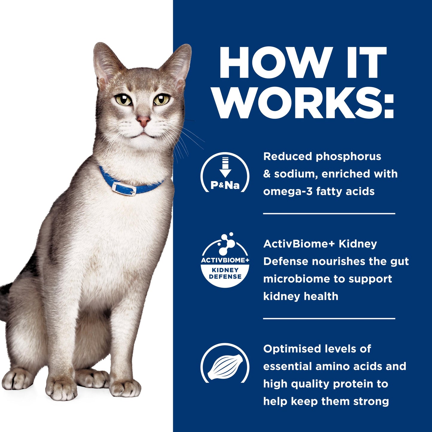 Hill's Prescription Diet k/d Kidney Care Chicken in Gravy Wet Cat Food