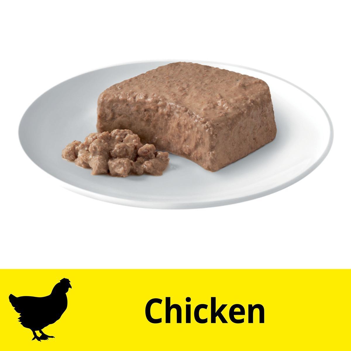Dine Tender Chicken Kitten Wet Cat Food