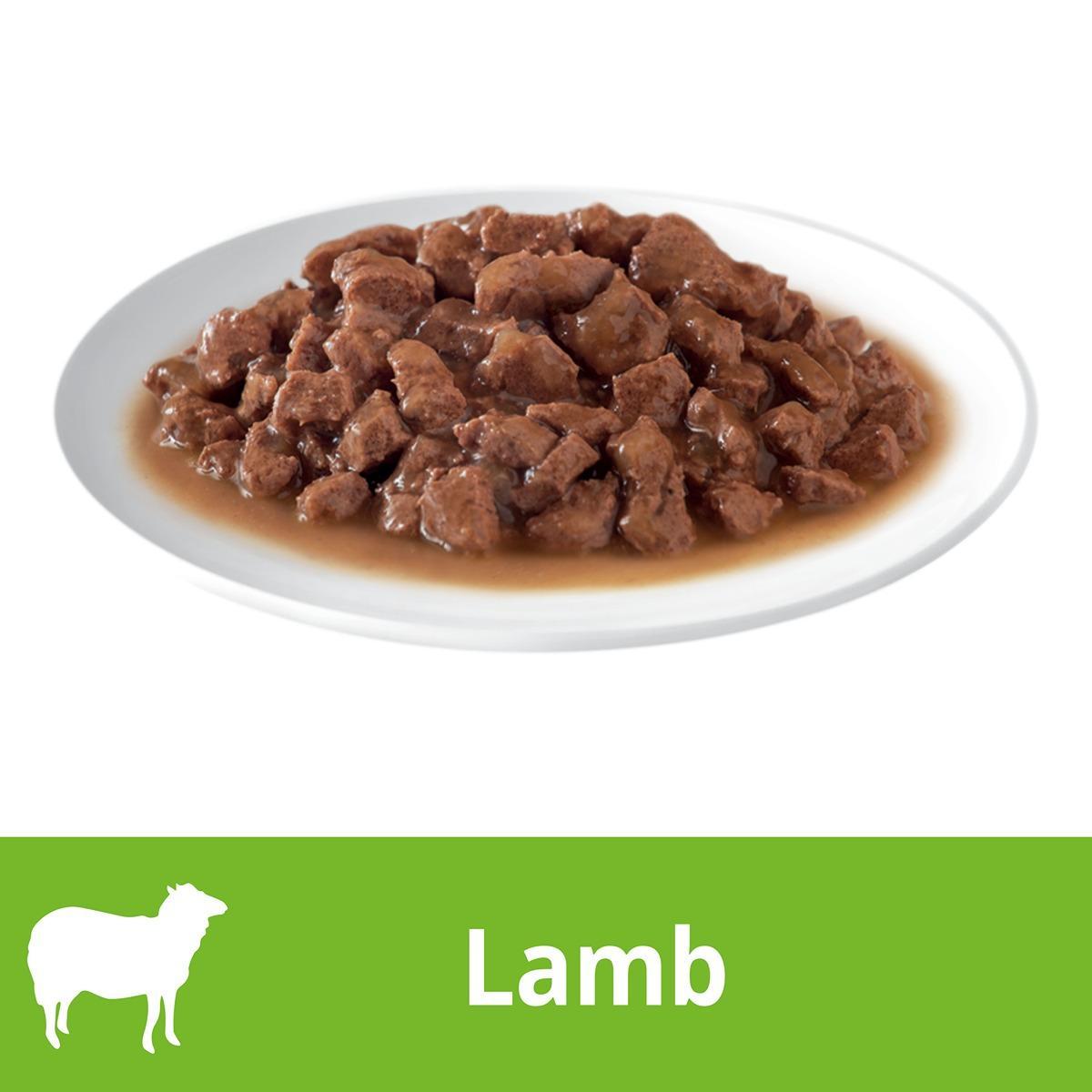 Dine Cuts In Gravy With Lamb Wet Cat Food