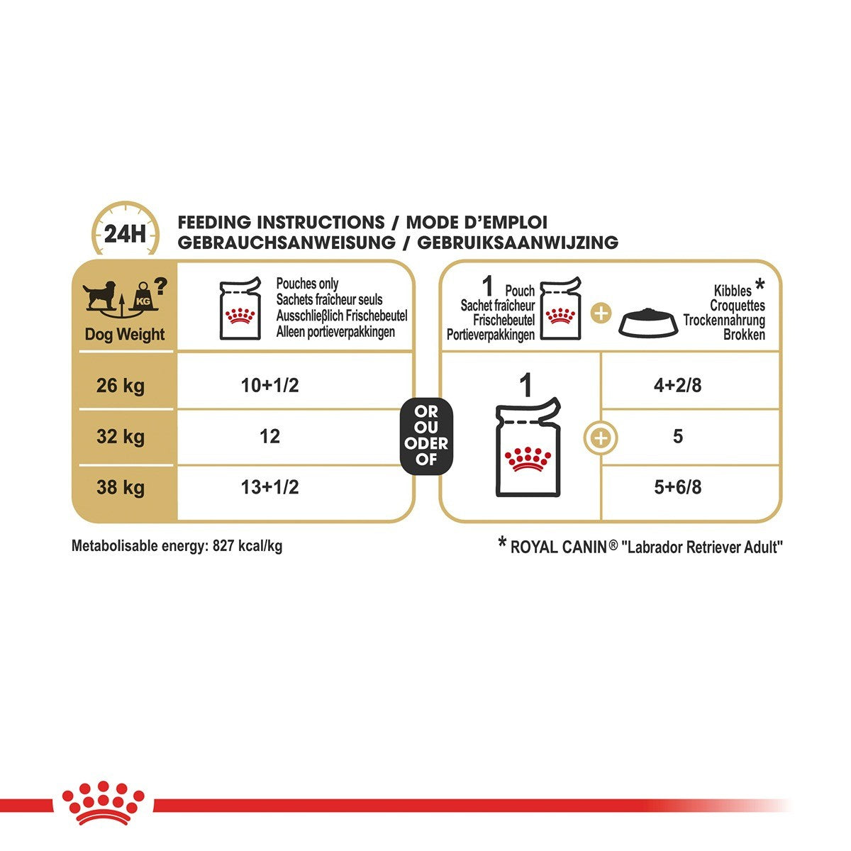 Royal Canin Labrador Retriever Gravy Wet Dog Food