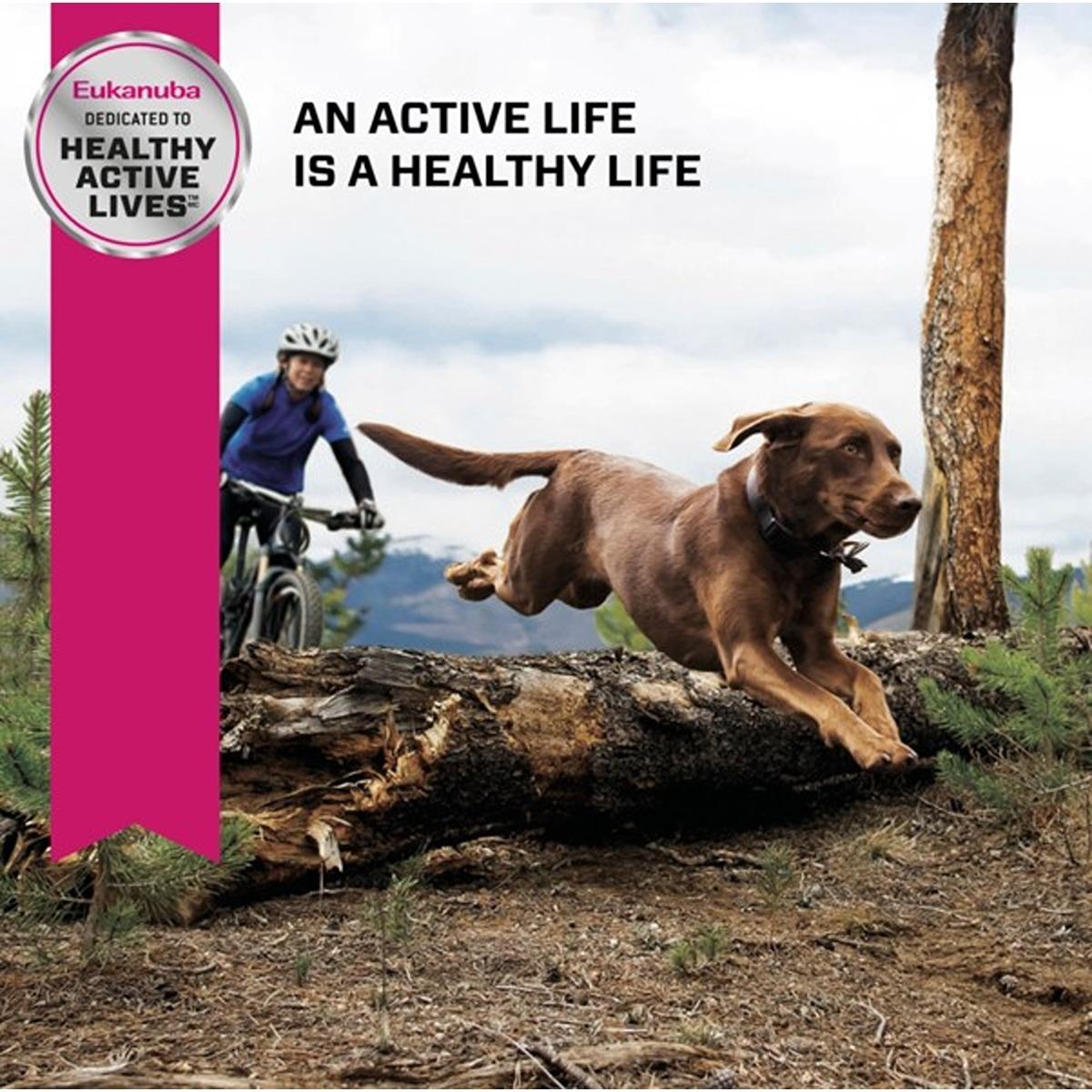 Eukanuba Senior Large Breed Dry Dog Food