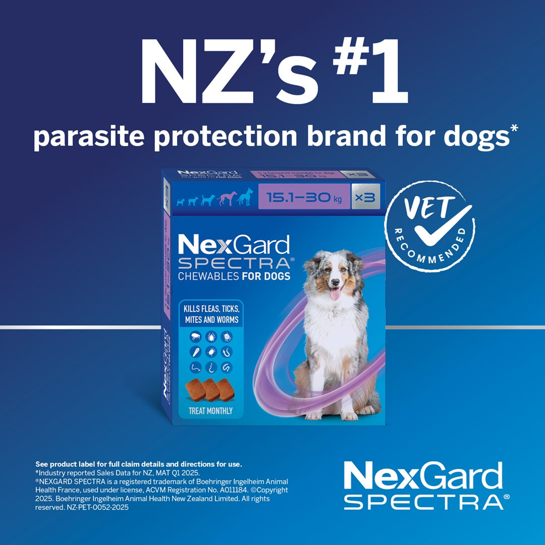 NexGard Spectra Flea & Tick Chew Extra Small Dogs Under 3.5kg