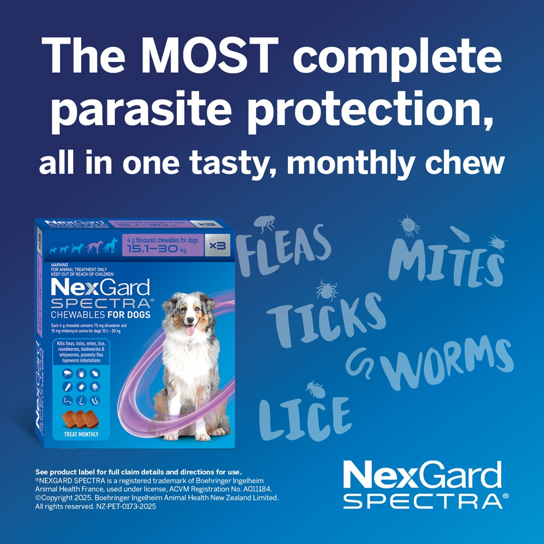 NexGard Spectra Flea & Tick Chew Extra Small Dogs Under 3.5kg