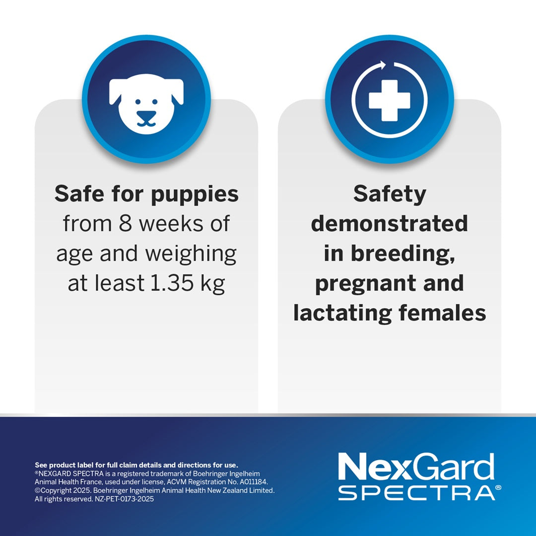 NexGard Spectra Flea & Tick Chew Extra Small Dogs Under 3.5kg