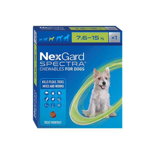 NexGard Spectra Chewables for Medium Dogs 7.6-15kg