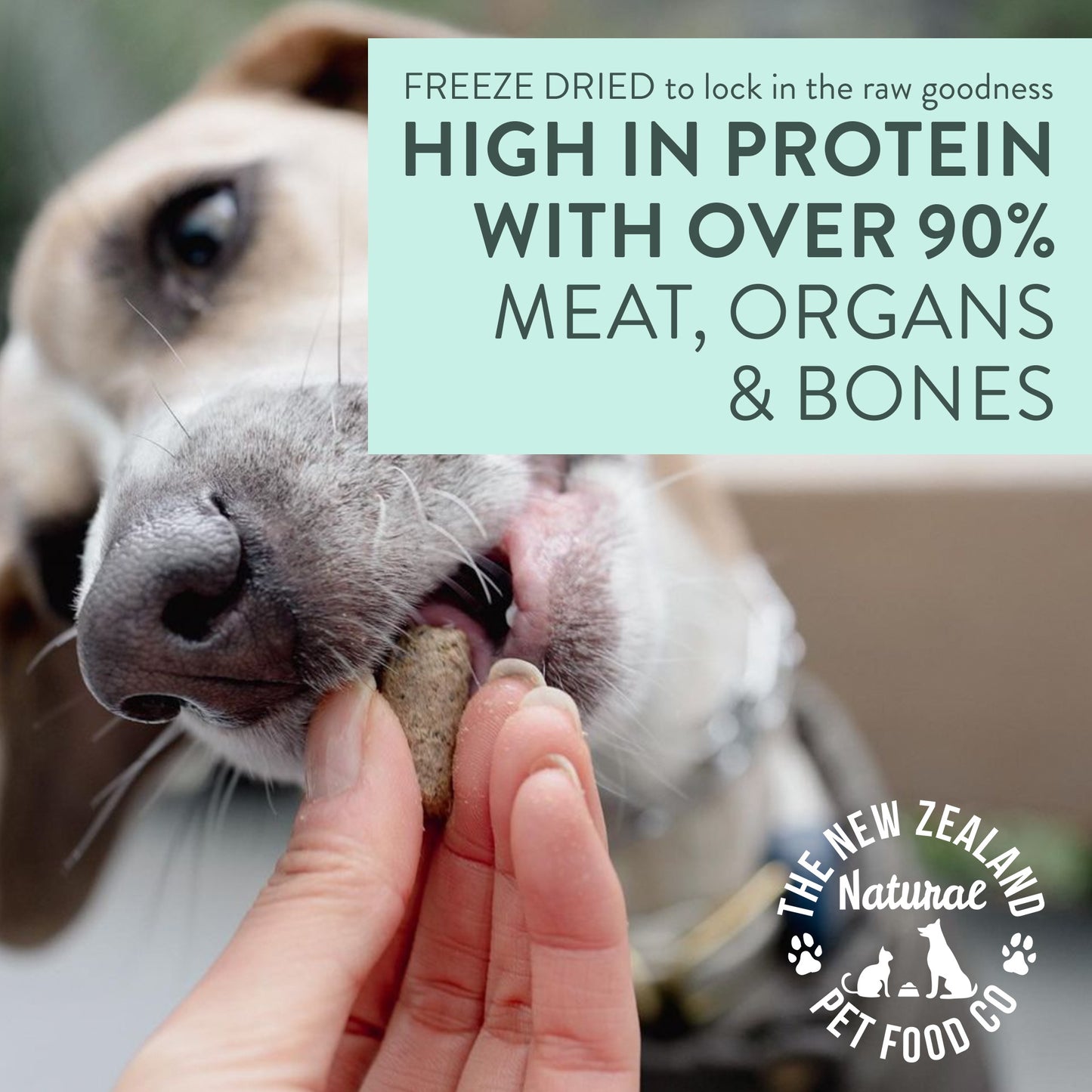 Woof Freeze Dried Duck Dog Treats