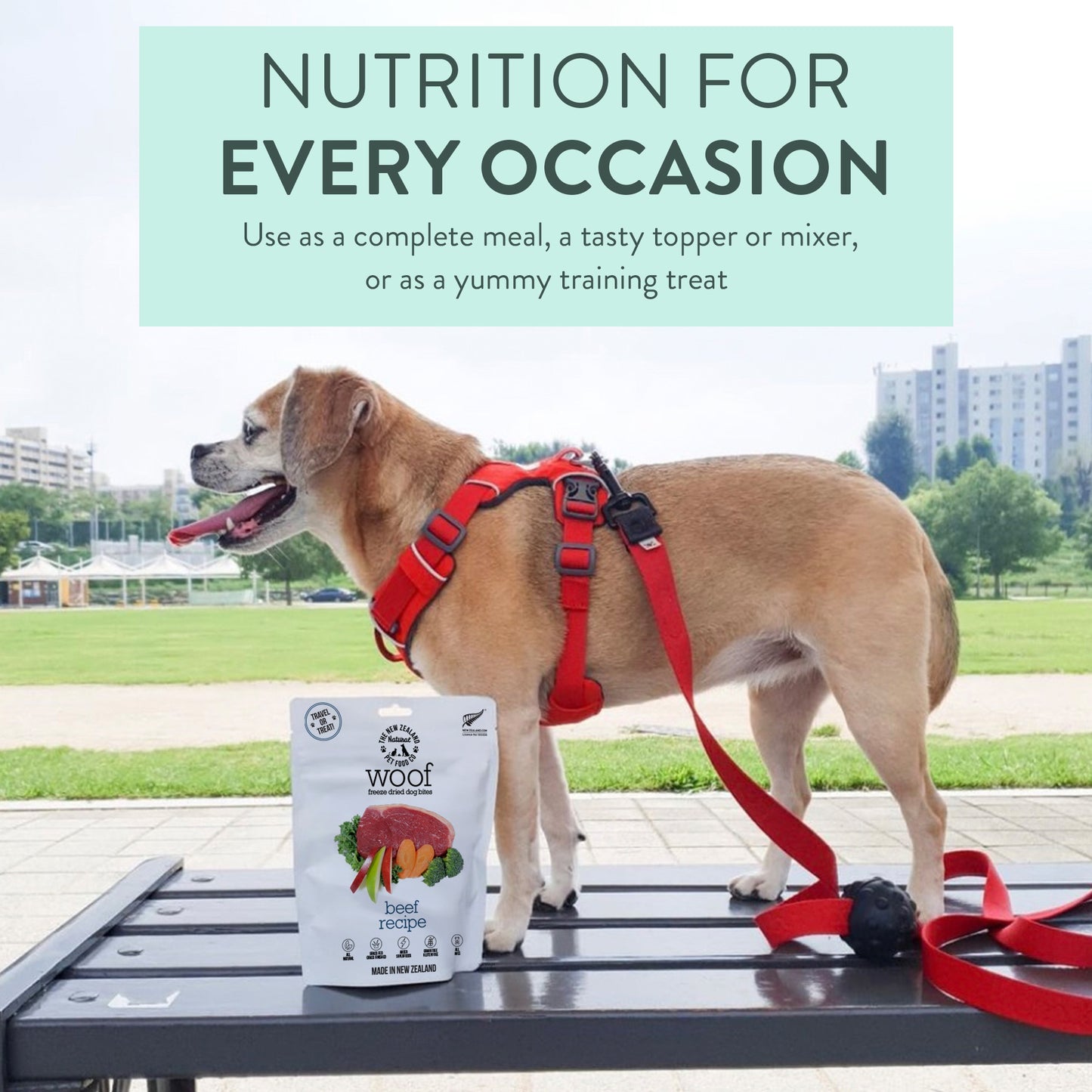 Woof Freeze-Dried Beef Dog Treats