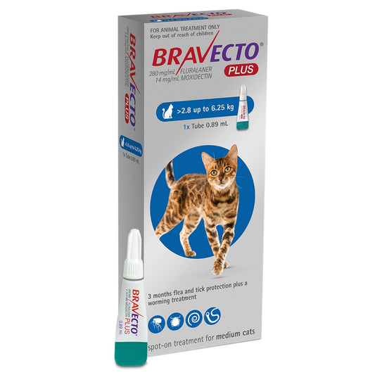 Bravecto Plus Spot-on Treatment for Medium Cats 2.8-6.25kg