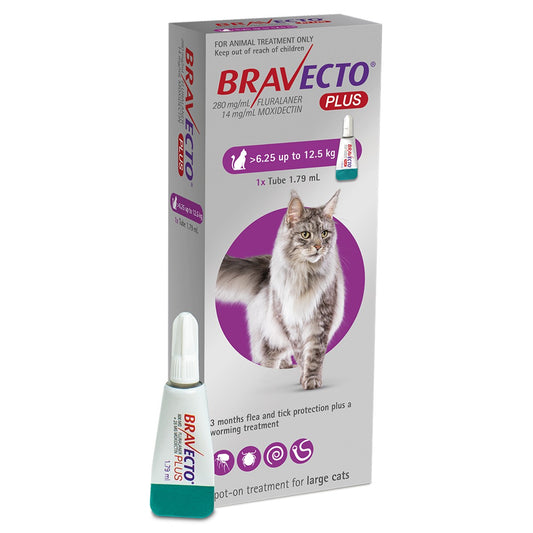 Bravecto Plus Spot-on Treatment for Large Cats 6.25-12.5kg