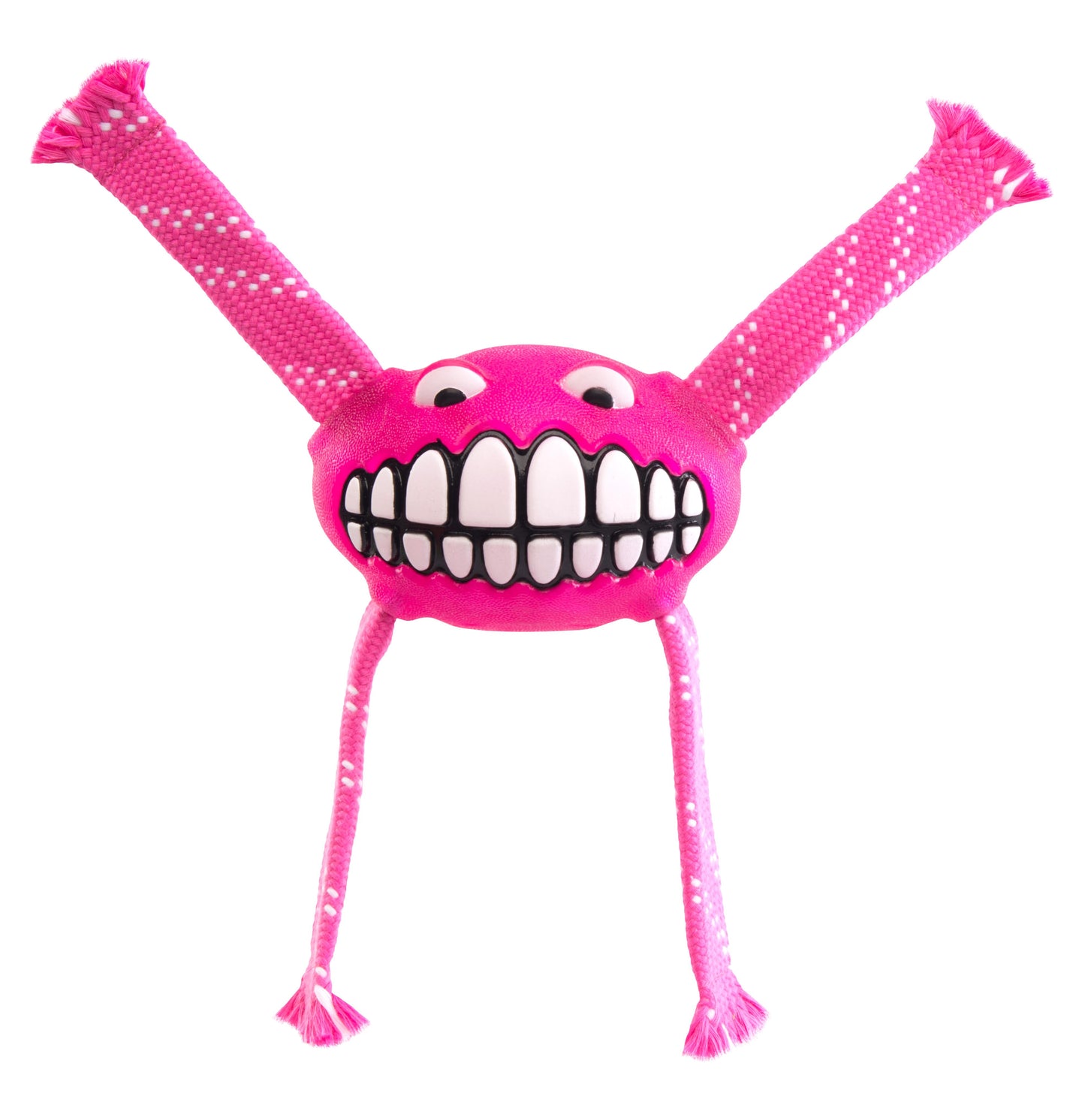 Rogz Flossy Grinz Dog Toy