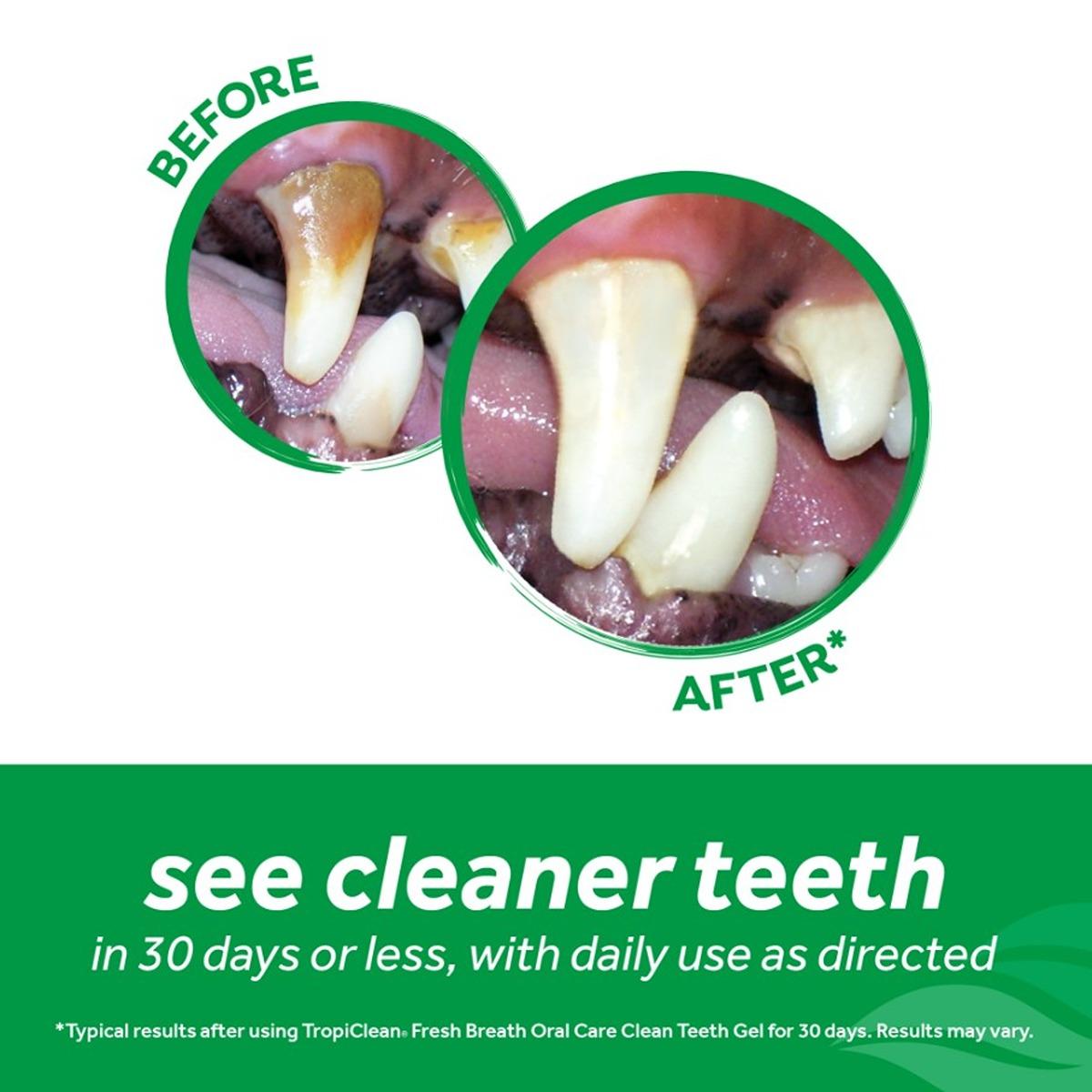 Tropiclean Clean Teeth Oral Gel Mint